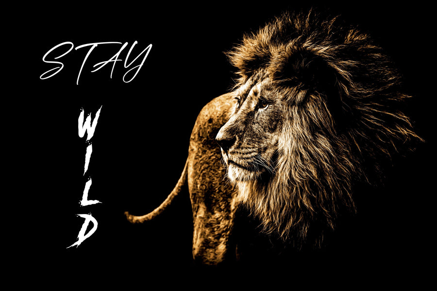 Lacquer Rain King – 3D Kabartmalı Parlak Lak Aslan Tablo