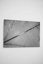 Silver Veins – 3D Kabartmalı, Parlak Lak Detaylı Alüminyum Tablo