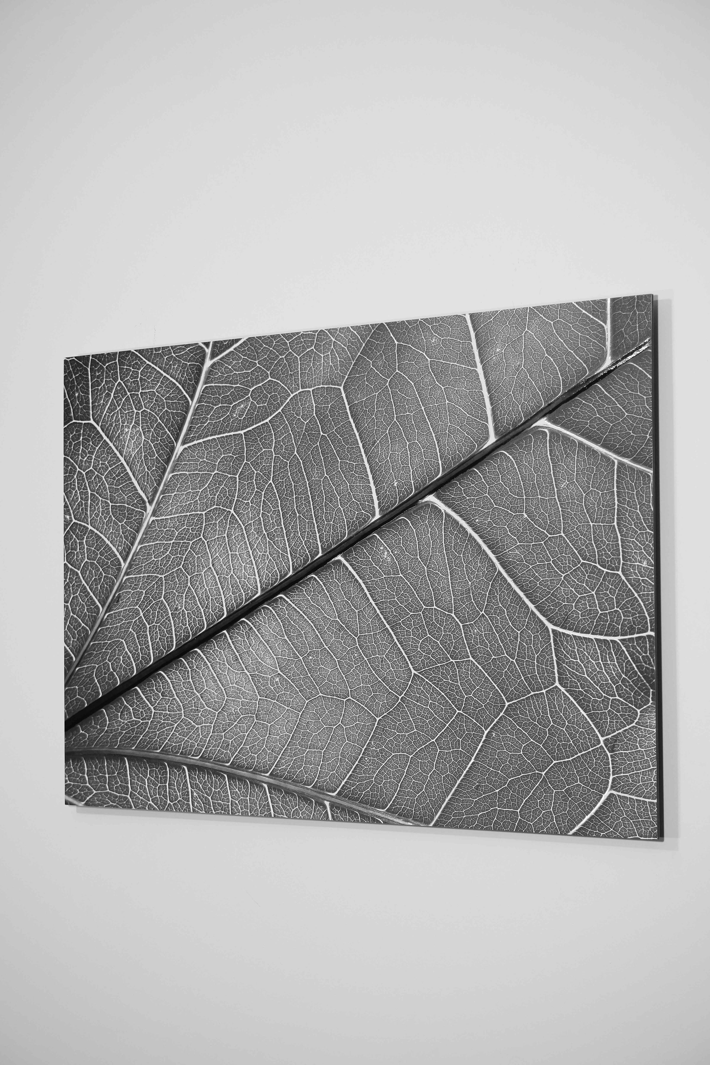 Silver Veins – 3D Kabartmalı, Parlak Lak Detaylı Alüminyum Tablo
