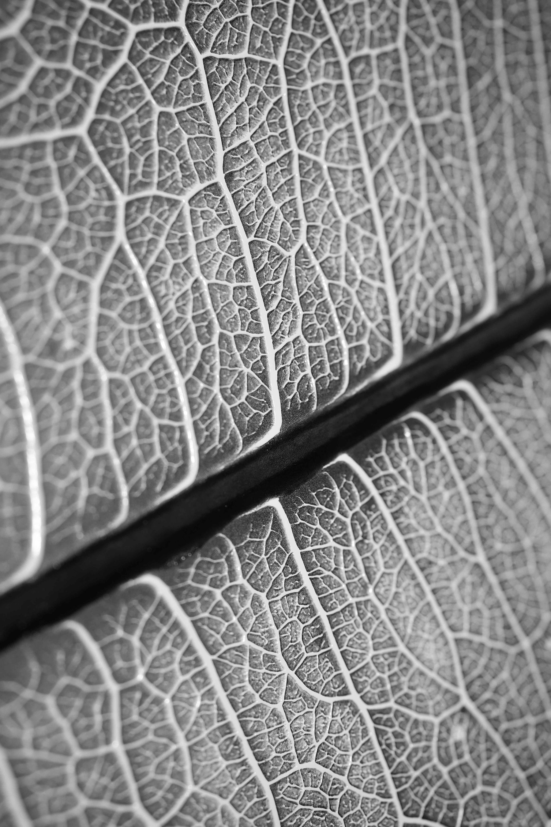 Silver Veins – 3D Kabartmalı, Parlak Lak Detaylı Alüminyum Tablo