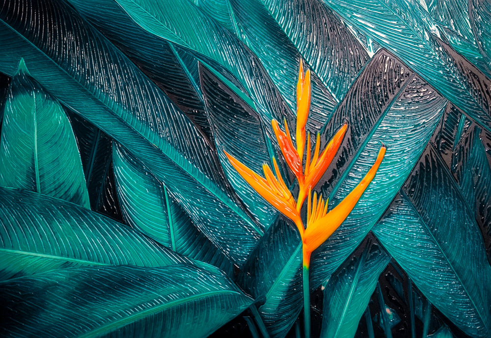 Teal Canopy Flame – 3D Kabartmalı, Parlak Laklı Alüminyum Tablo