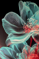 Cyan Ether Blooms — 3D Kabartmalı Premium Duvar Sanatı
