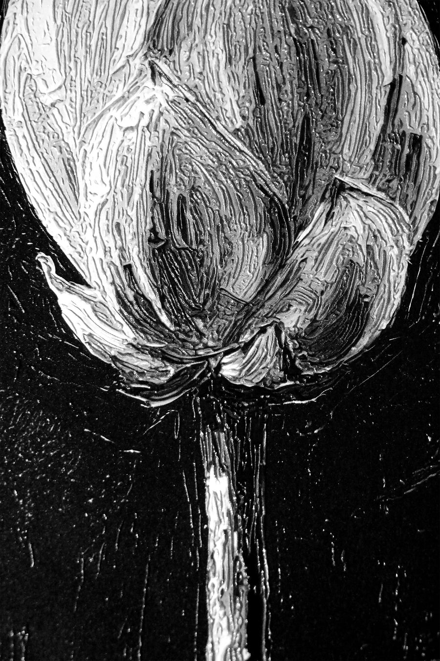 Monokrom Lotus Manifestosu — 3D Kabartmalı Premium Duvar Sanatı