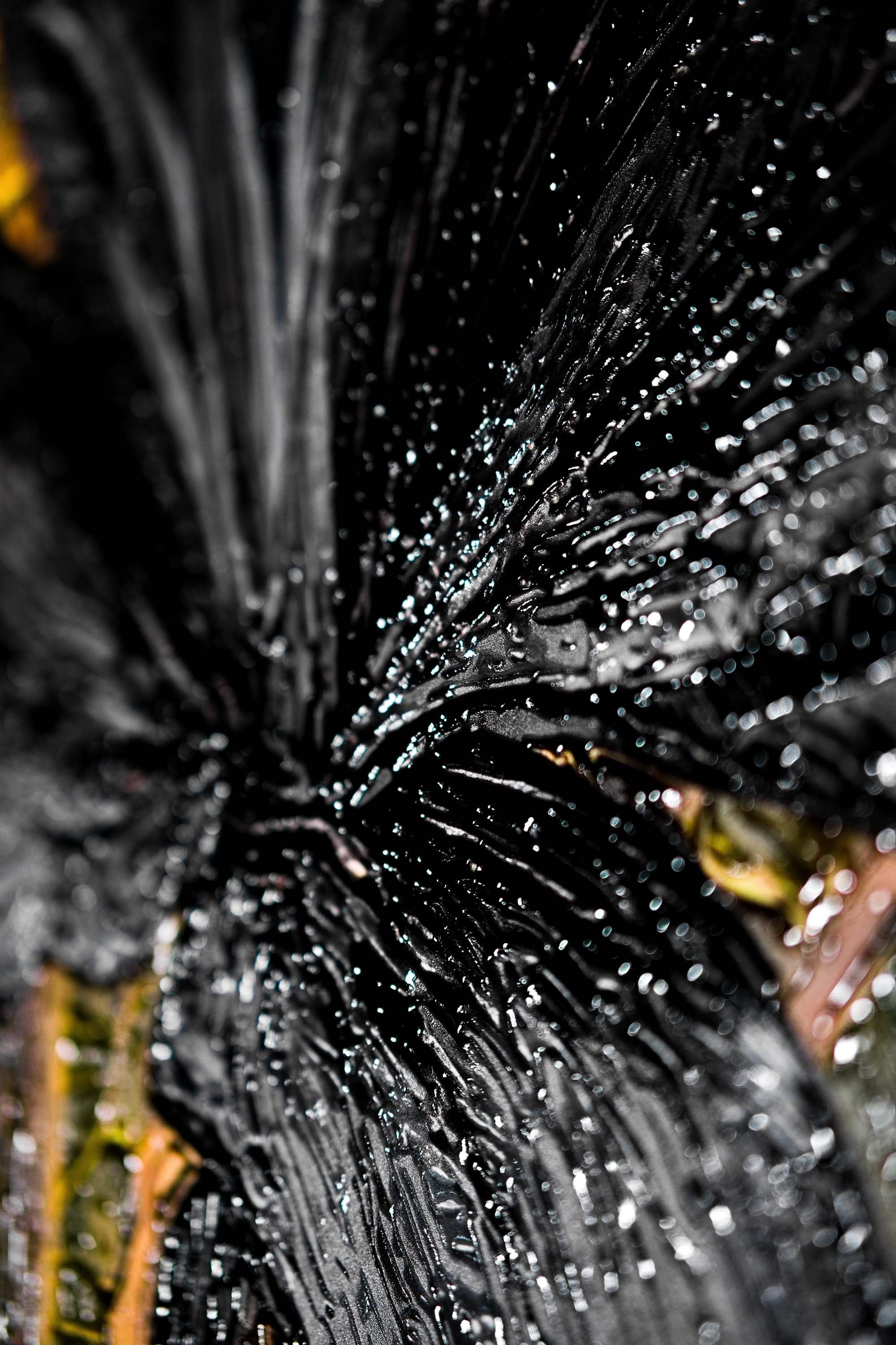 Siyah Zambaklar ve Altın Gölgeler — 3D Kabartmalı Premium Duvar Sanatı