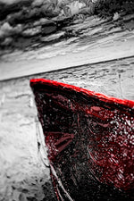 Kızıl Kıyı Gözcüsü — 3D Kabartmalı Premium Duvar Sanatı