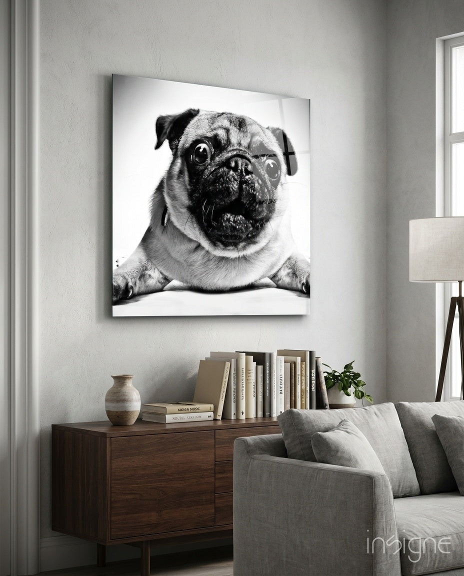 Pug Cam Tablo