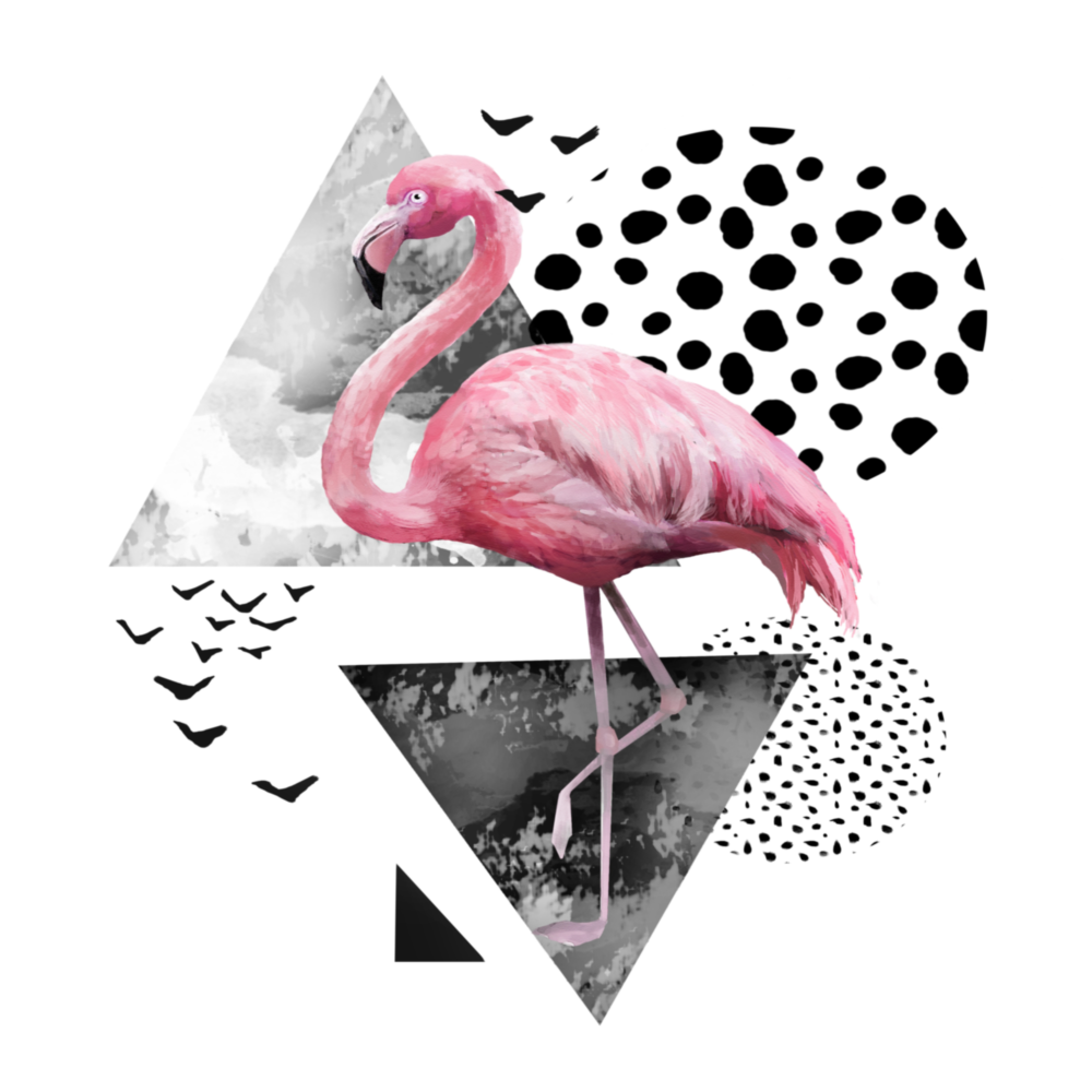 Flamingo Cam Tablo