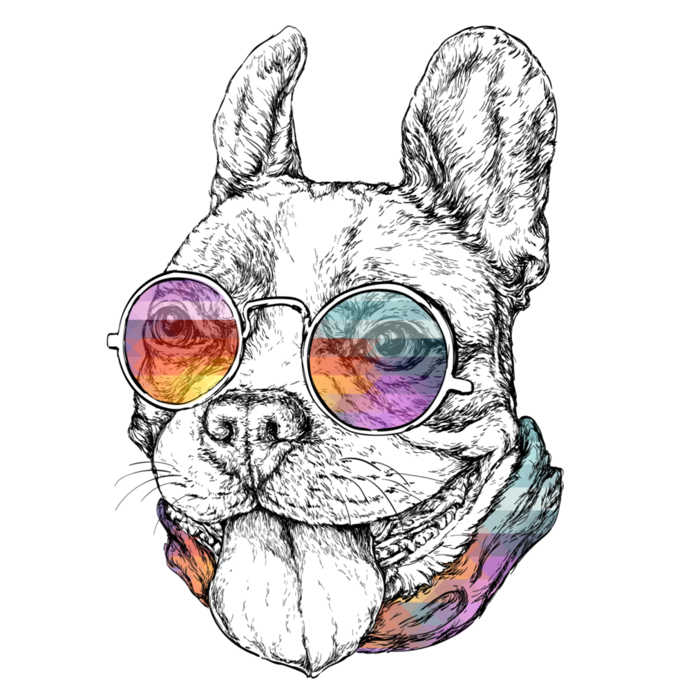 Köpek Cam Tablo
