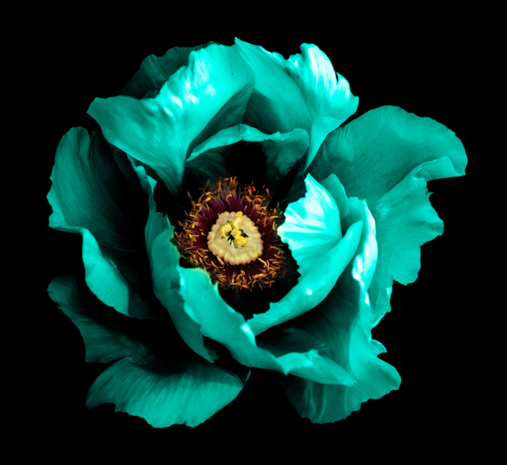 Floral Yeşil Cam Tablo