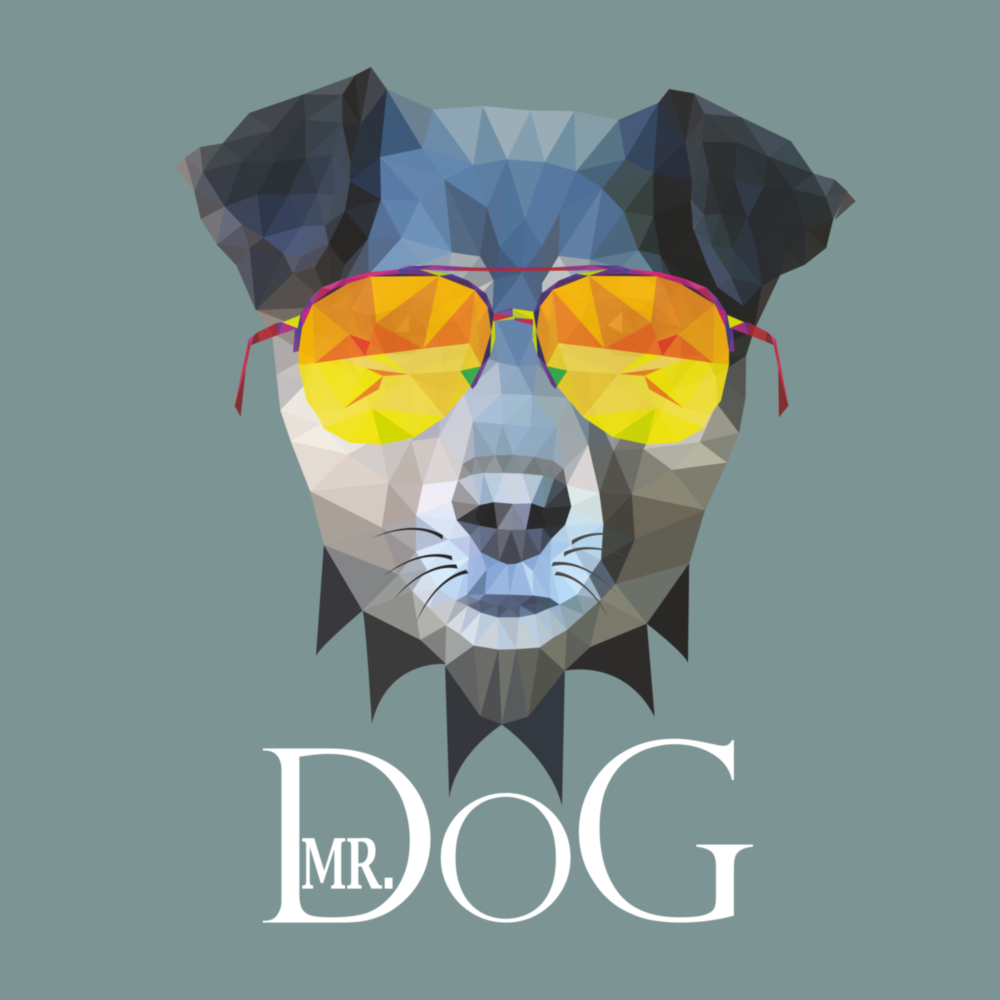 Köpek Cam Tablo