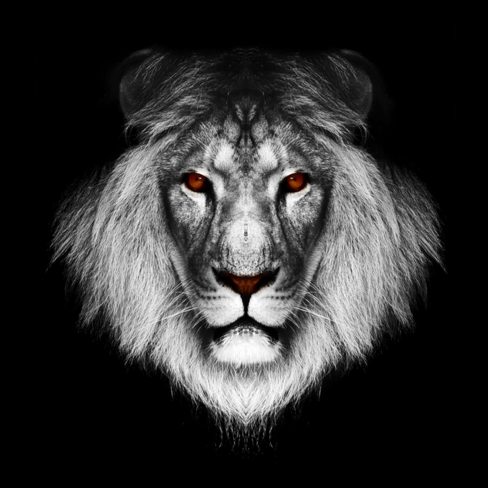 Aslan Cam Tablo