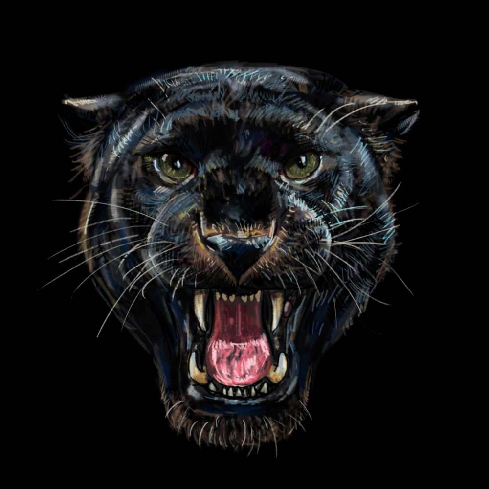 Jaguar Cam Tablo