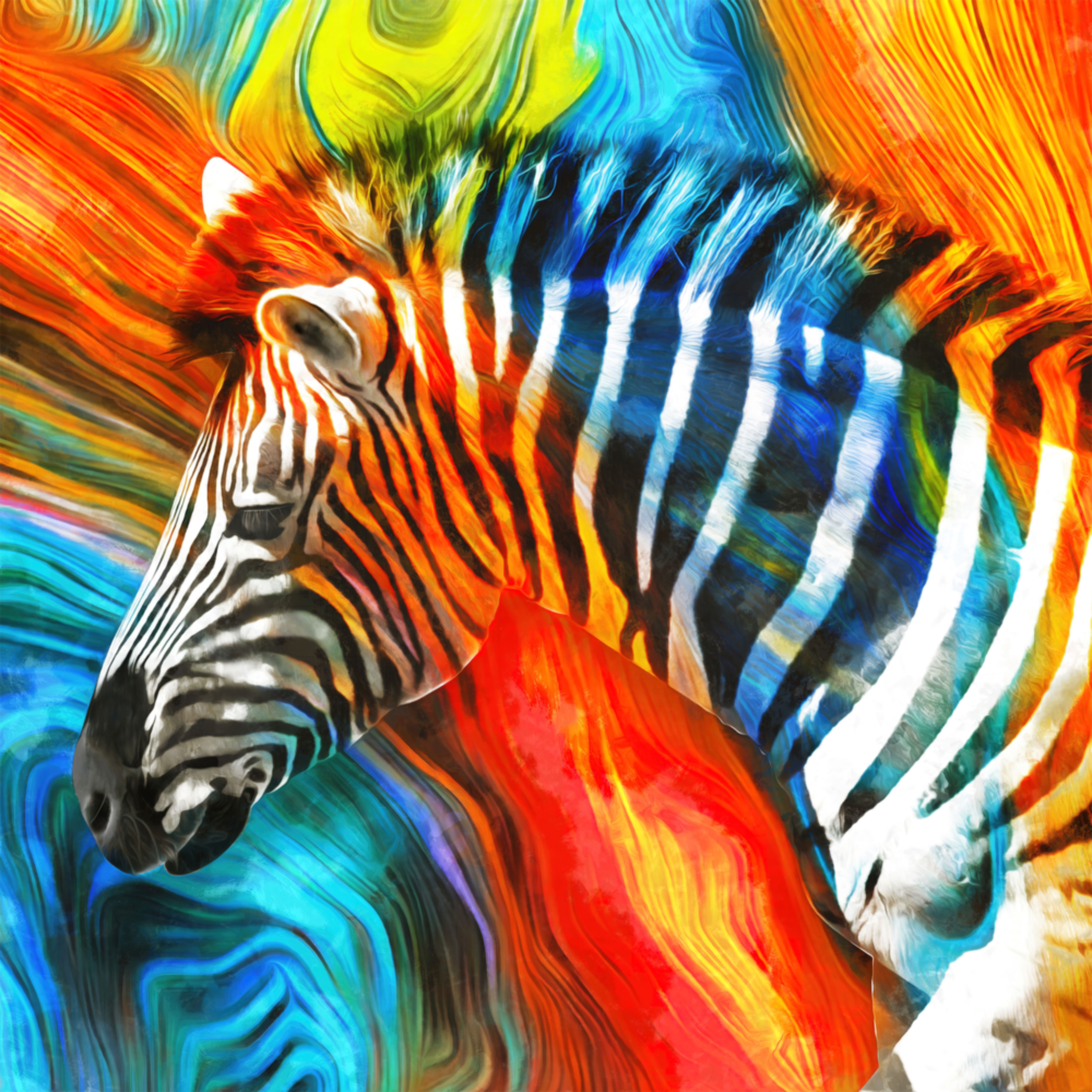 Zebra Cam Tablo