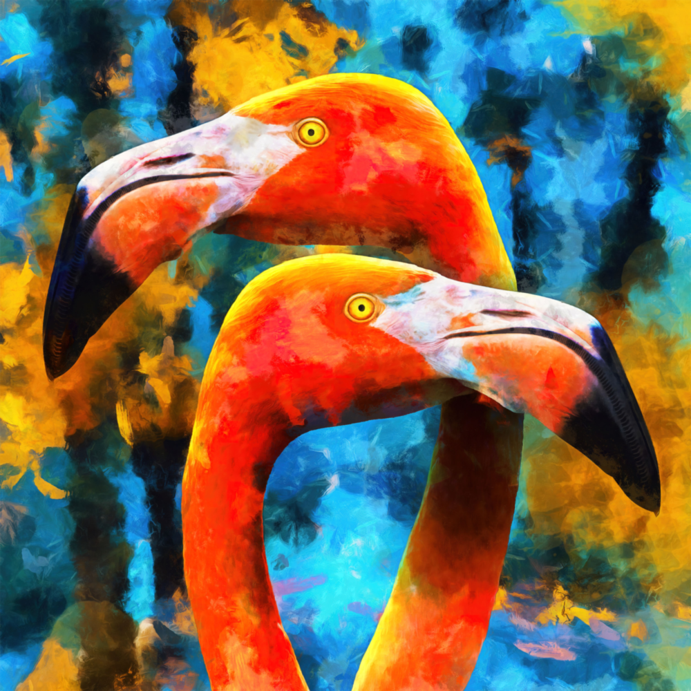 Flamingolar Cam Tablo