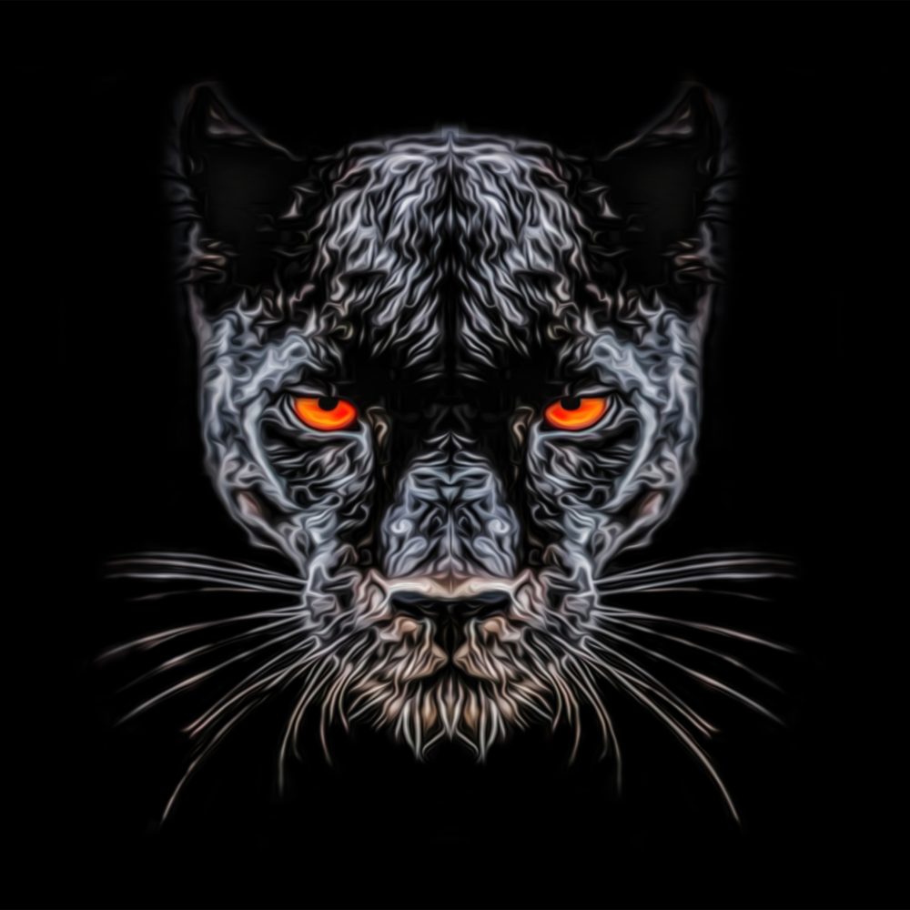 Panter Cam Tablo