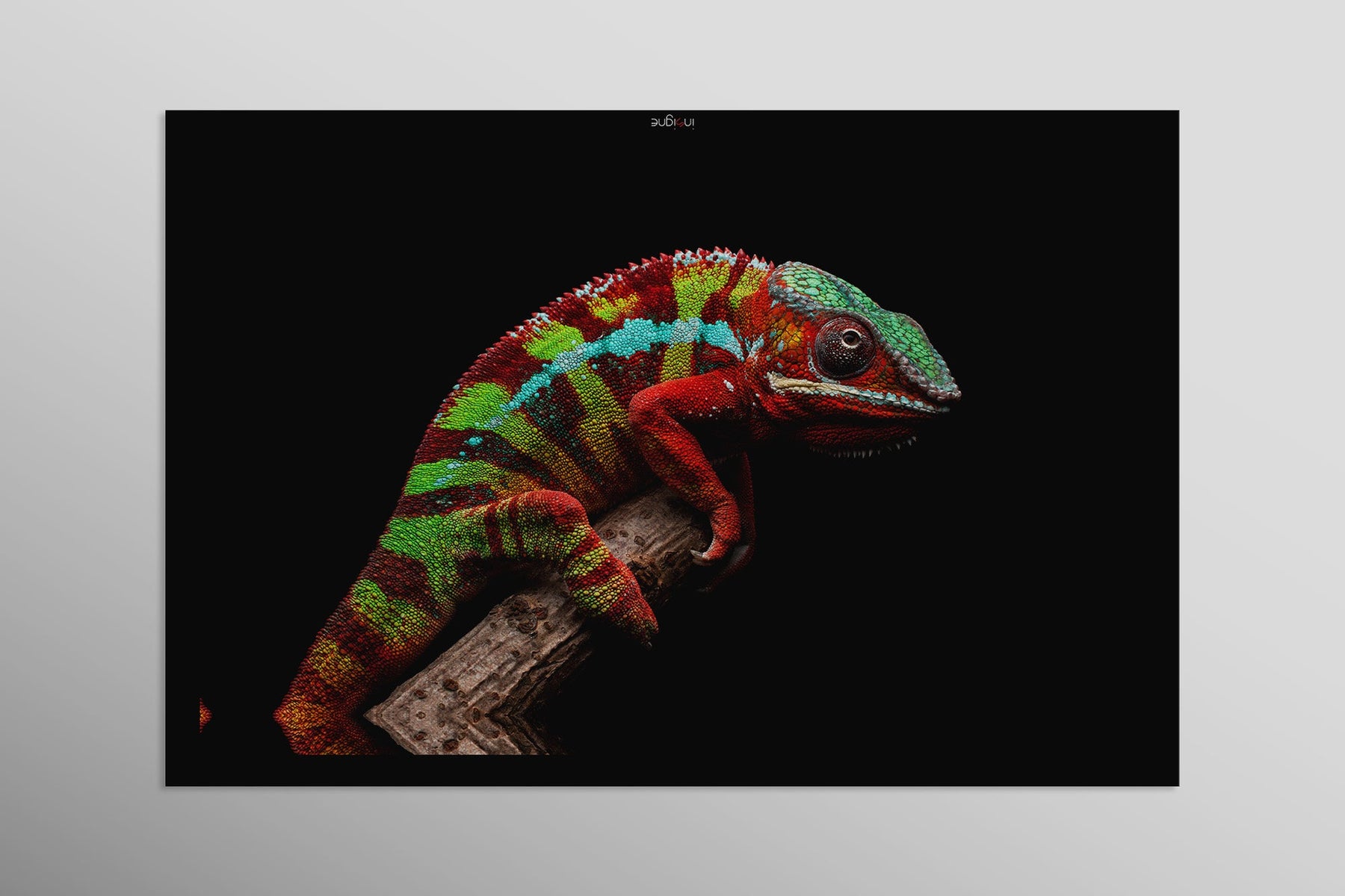Prismskin Guardian, Prizma Muhafızı — Dokunsal 3D Rölyef ve Yüksek Parlaklıkta Lake