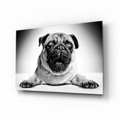 Pug Cam Tablo