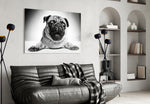 Pug Cam Tablo