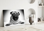Pug Cam Tablo
