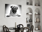 Pug Cam Tablo