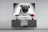 Pug Cam Tablo