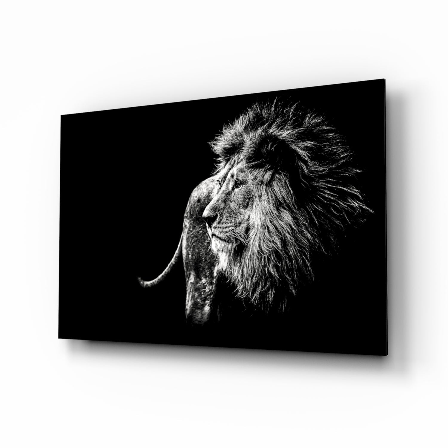 Aslan Cam Tablo