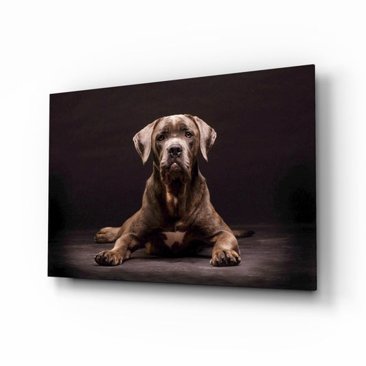 Köpek Cam Tablo