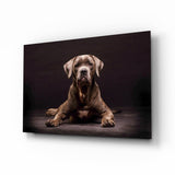 Köpek Cam Tablo