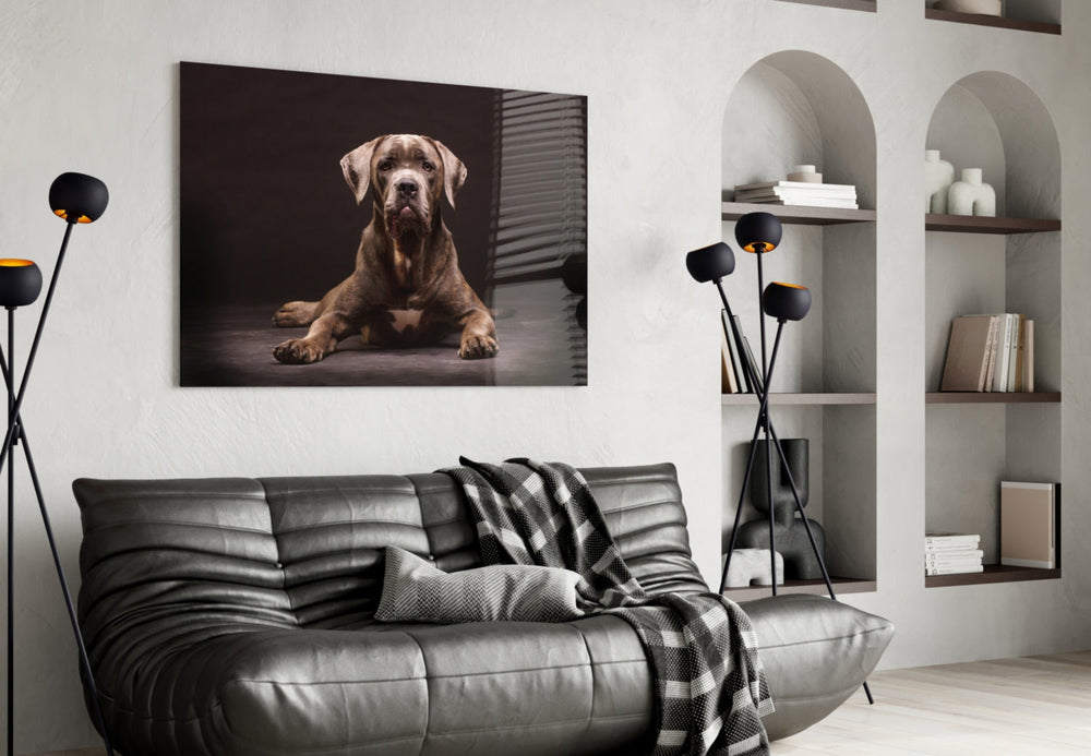 Köpek Cam Tablo