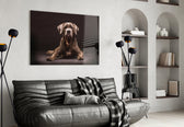 Köpek Cam Tablo