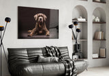 Köpek Cam Tablo