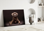 Köpek Cam Tablo