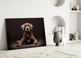Köpek Cam Tablo