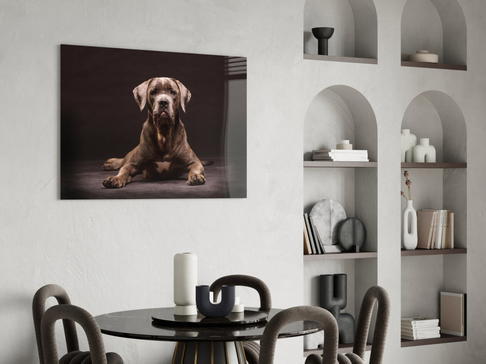 Köpek Cam Tablo