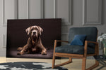 Köpek Cam Tablo
