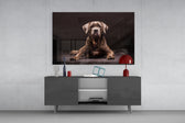 Köpek Cam Tablo