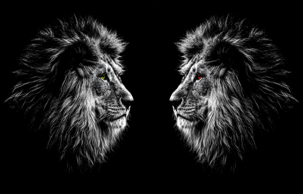Aslan Cam Tablo