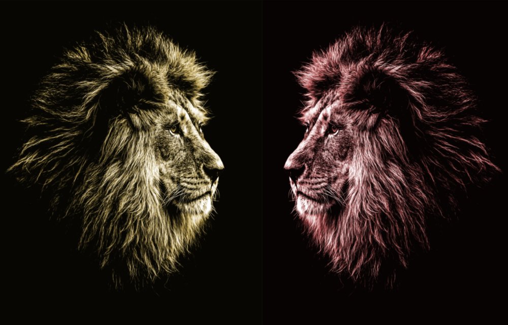 Aslan Cam Tablo