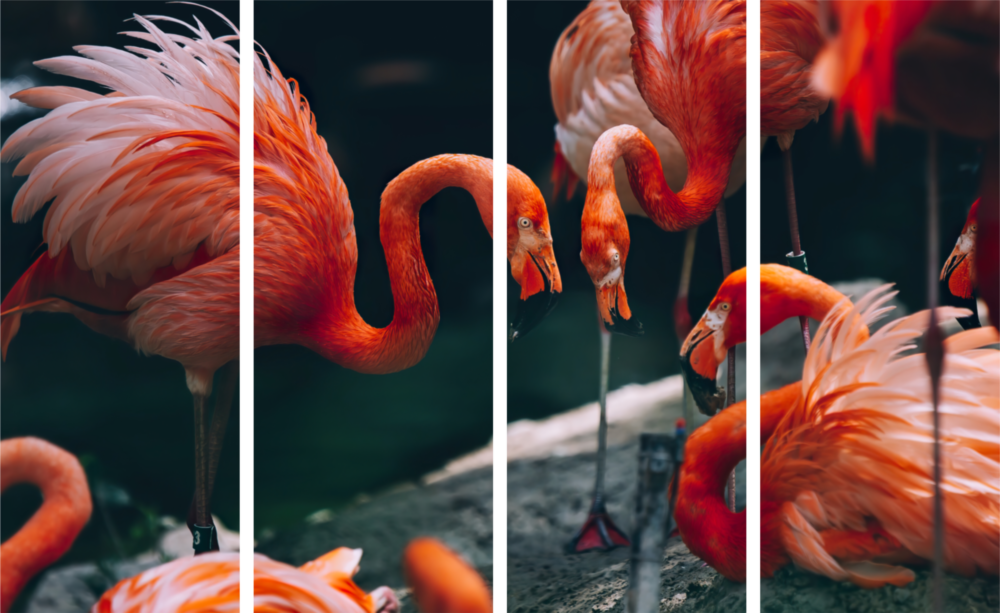 Flamingolar 4 Parça Mega Cam Tablo | 150x92 cm