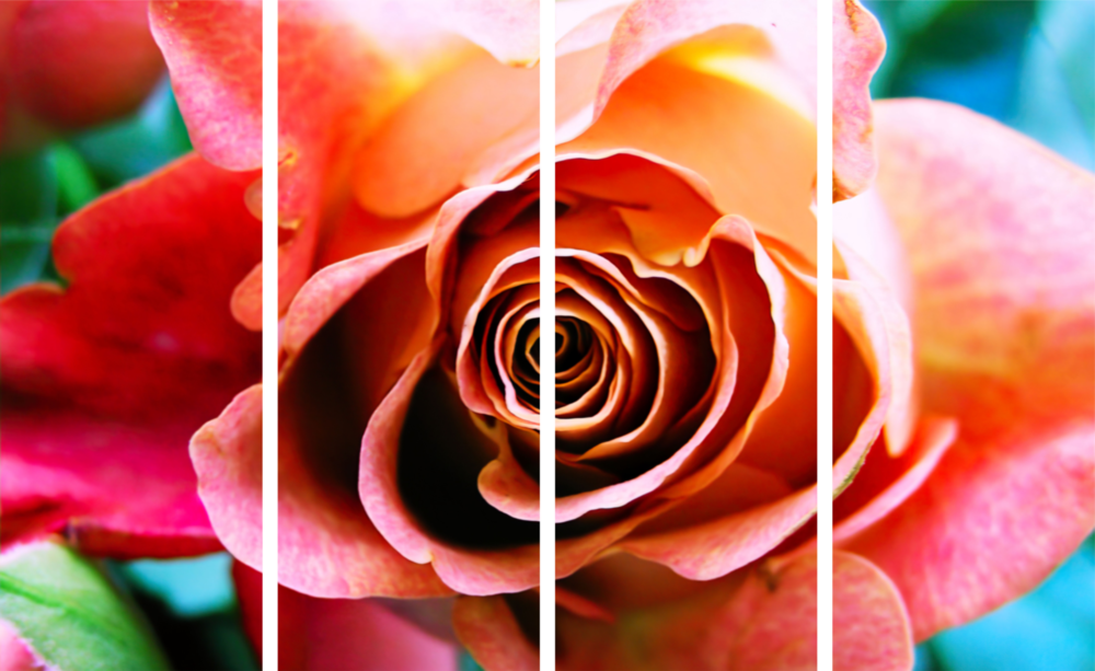 Gül 4 Parça Mega Cam Tablo | 150x92 cm