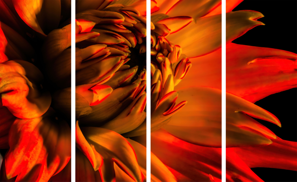 Gerbera Papatya Cam Tablo