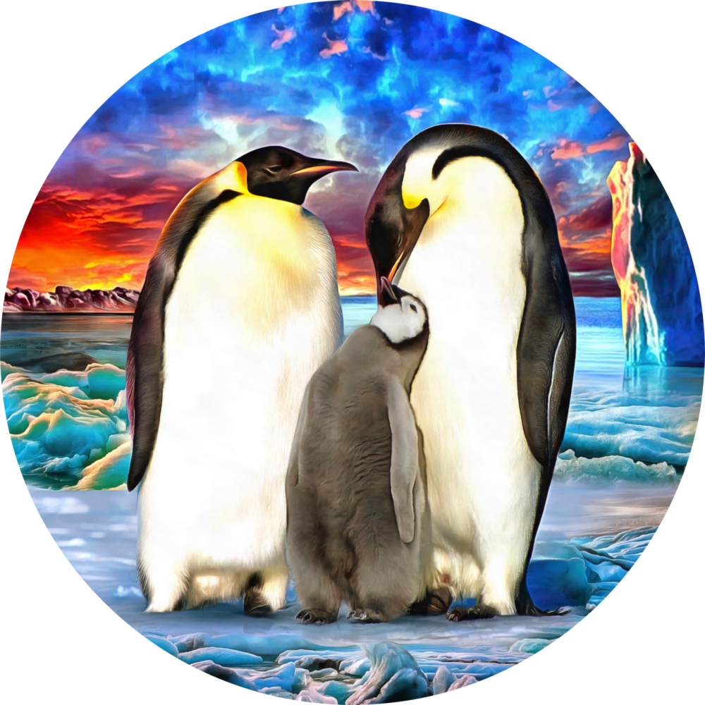 Penguen Ailesi Cam Tablo