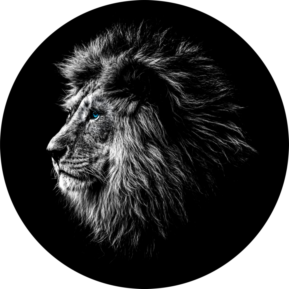 Aslan Cam Tablo
