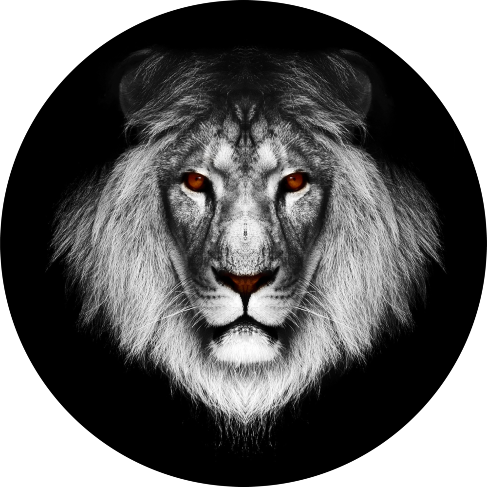 Aslan Cam Tablo