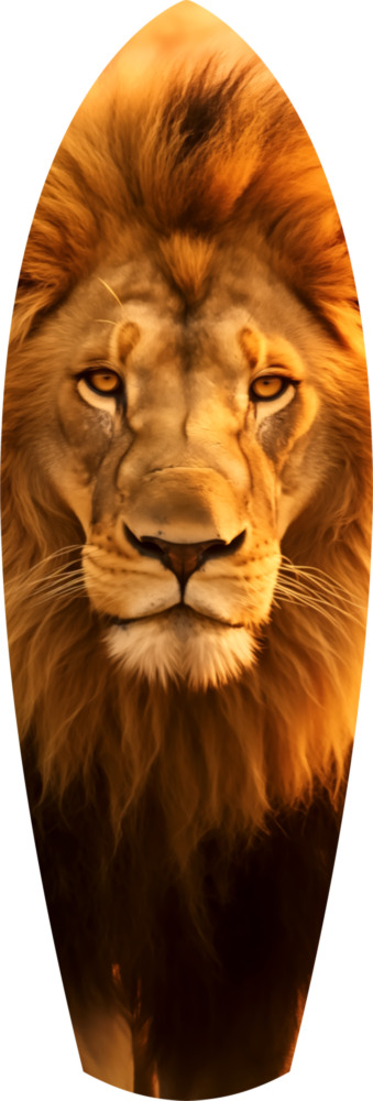Bay Aslan Cam Tablo