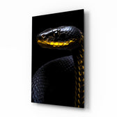 Black and Yellow Viper Glass Wall Art || Designer Collection