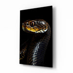 Golden-Eyed Black Snake Glass Wall Art || Designer Collection