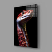 Eyes of the Fiery Serpent Glass Wall Art || Designer Collection