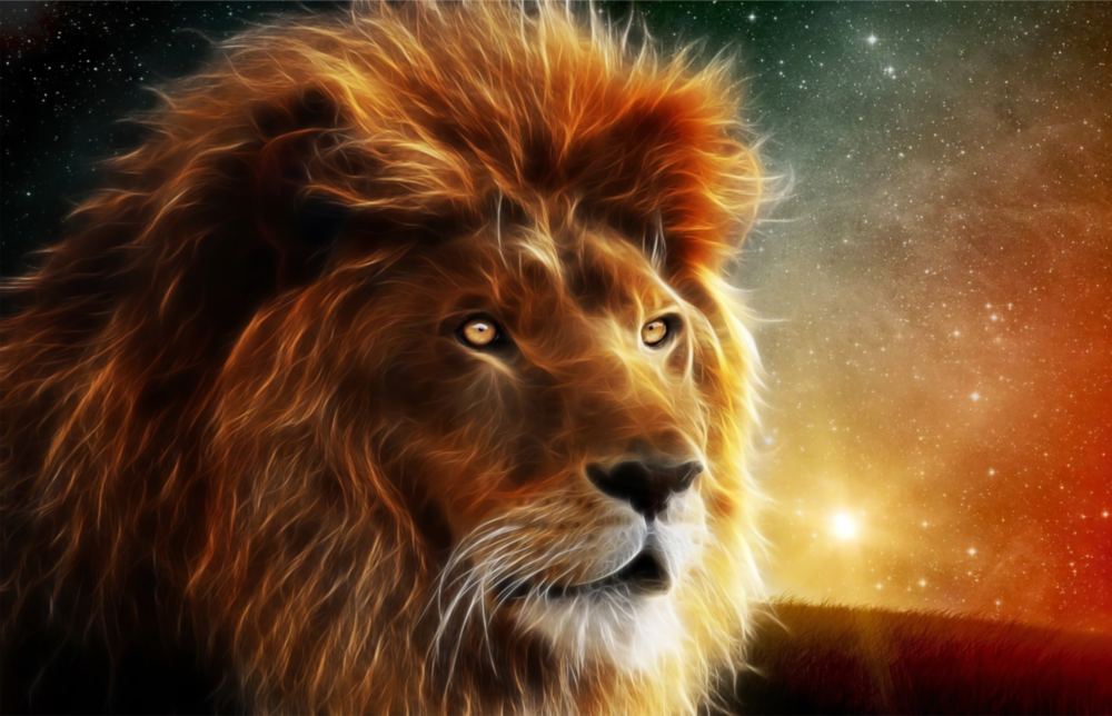 Aslan  Cam Tablo