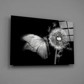 Butterfly & Dandelion Cam Tablo